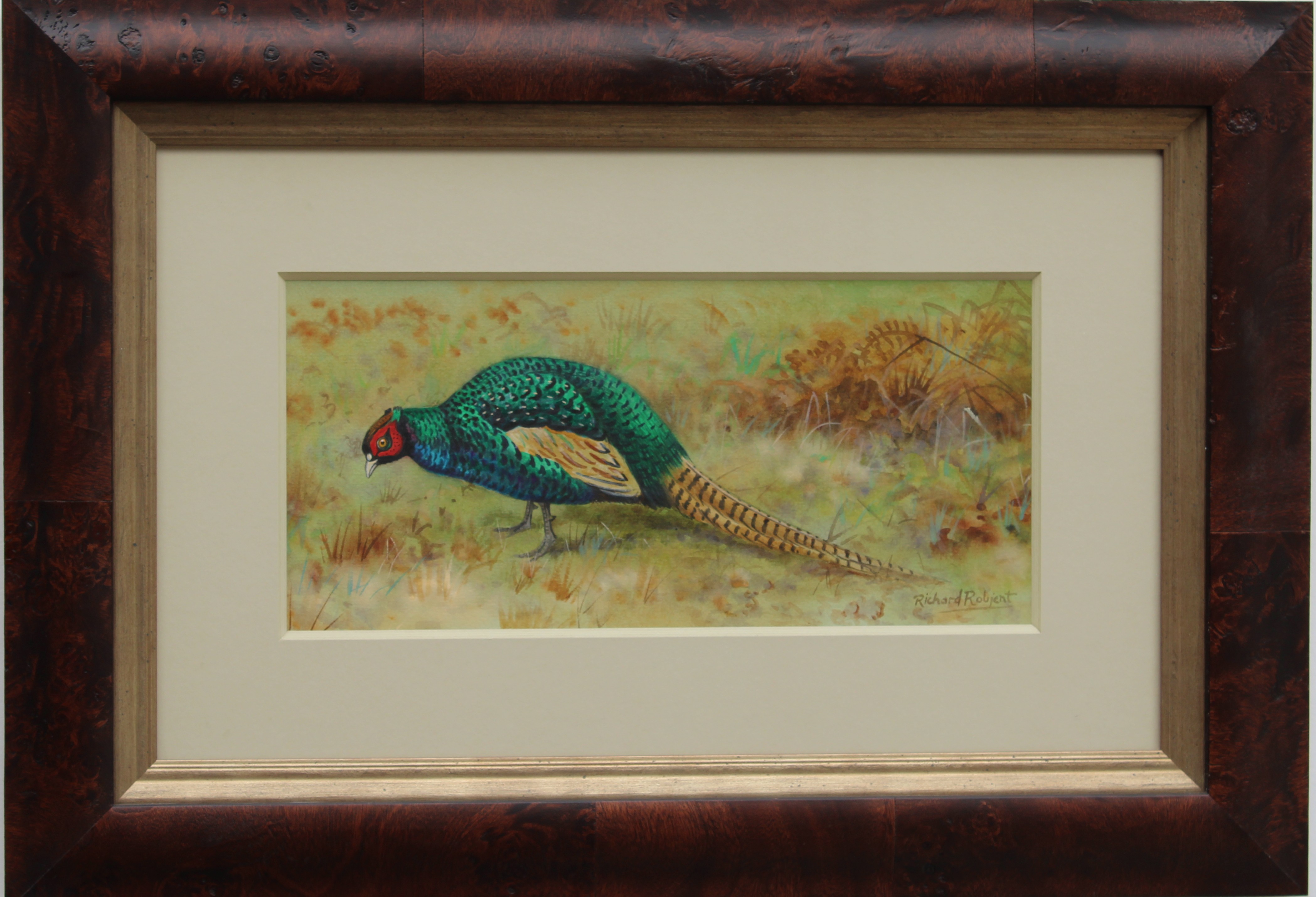 Pheasant  by Richard Robjent 